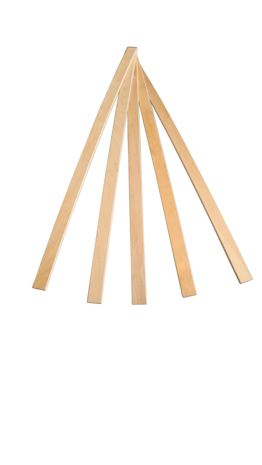 Coemo Federholzleisten Ersatzleisten für Lattenrost im Set 6 Stk. - Image 6