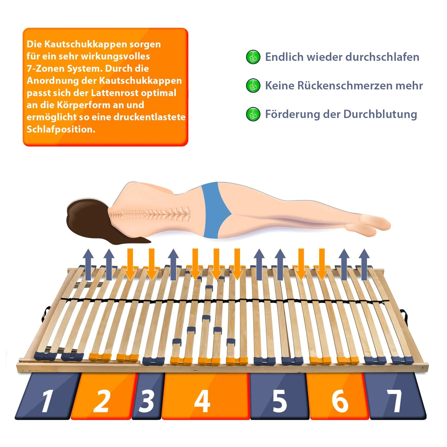 Coemo Lattenrost Multira starr oder verstellbar mit 28 Federleisten 7 - Zonen - Image 4
